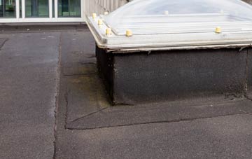 disadvantages of Ruston flat roofs