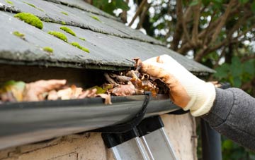 gutter cleaning Ruston, North Yorkshire