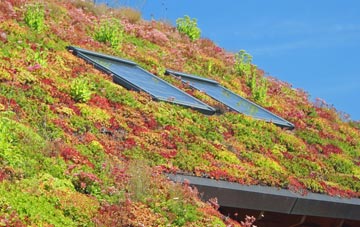 Ruston living roof systems
