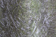 Ruston fibreglass roof work